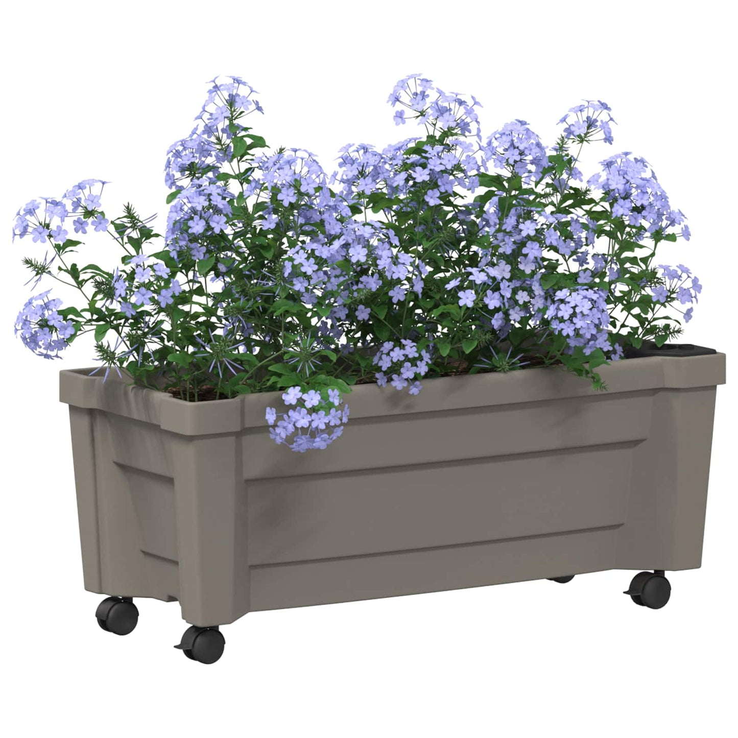 Calypso plante med hjul Grå 79 x 35 x 33 cm PP