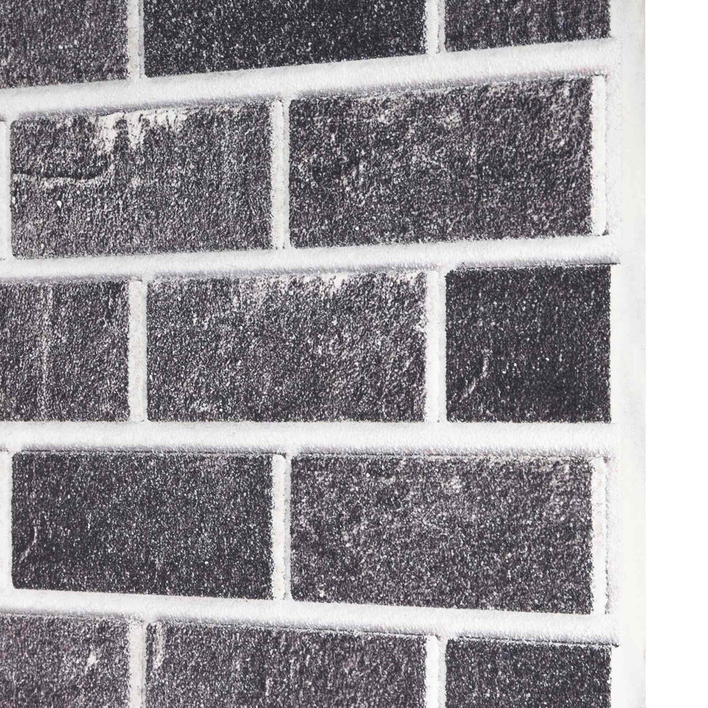 Veggpaneler 10 pcs Svart og Grå 100 x 50 cm EPS Skum