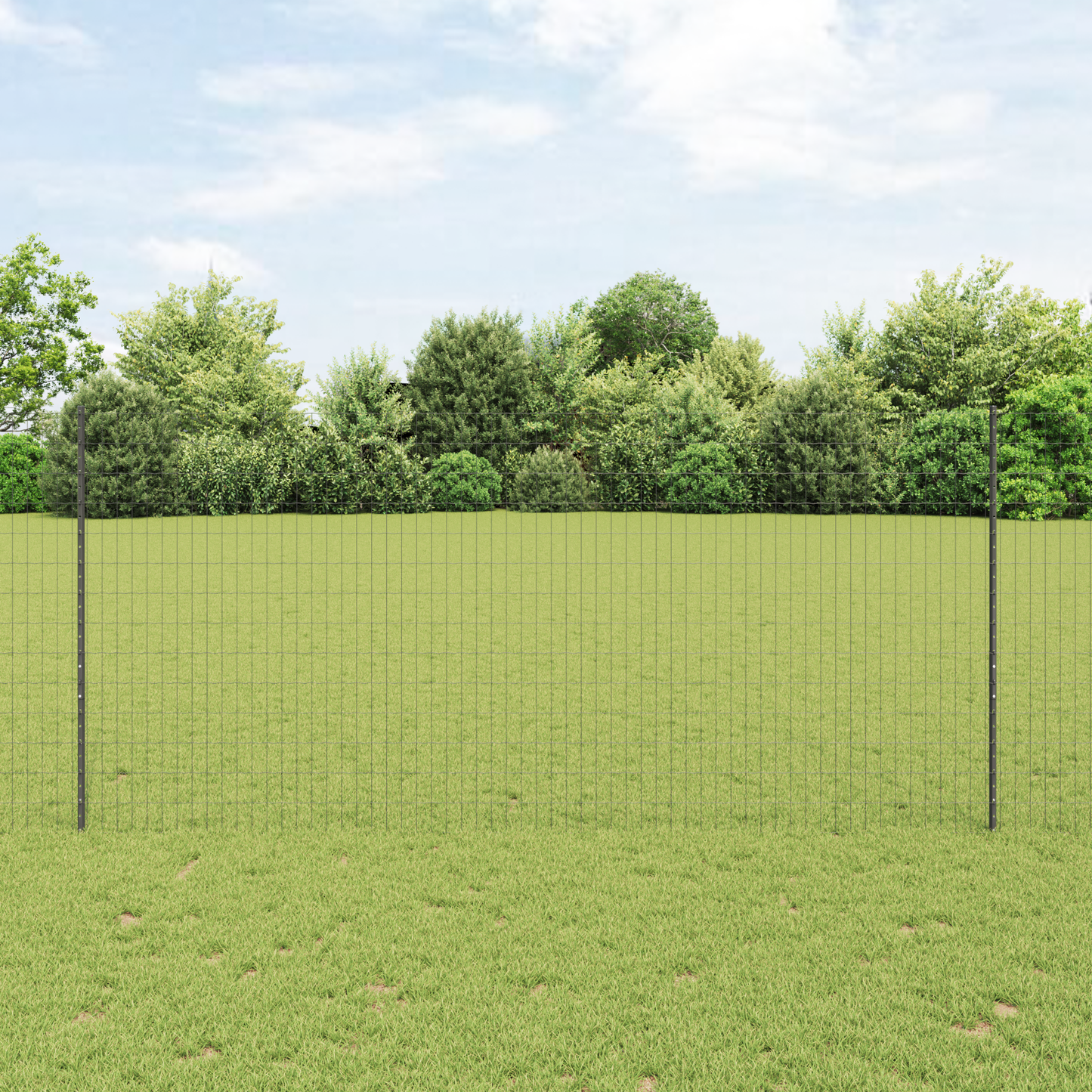 Euro gjerdet med stolpe 10 x 1,4 m PVC-belagt stål Grå Mesh