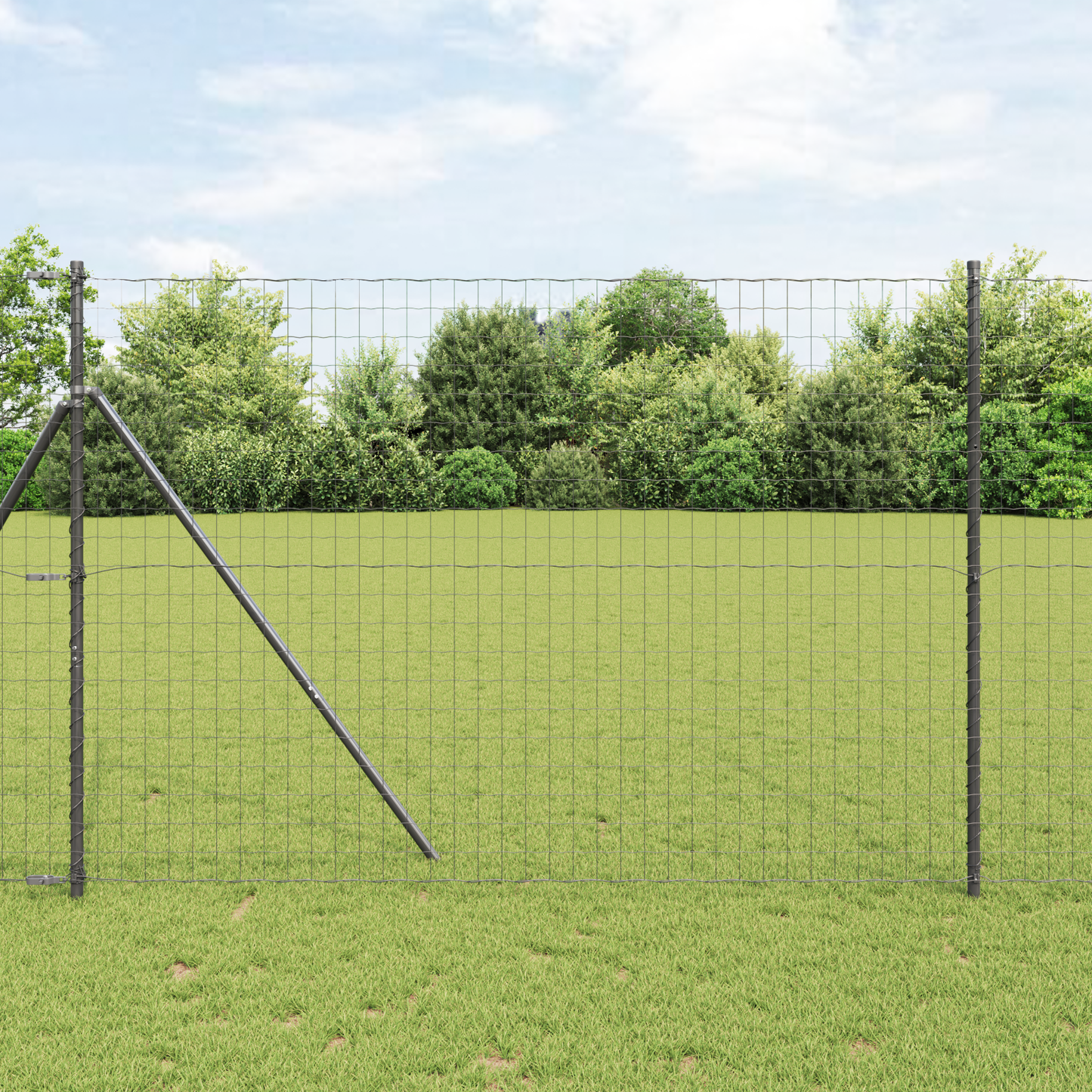 Euro gjerde Svart 1,6 x 10 m PVC-belagt jern