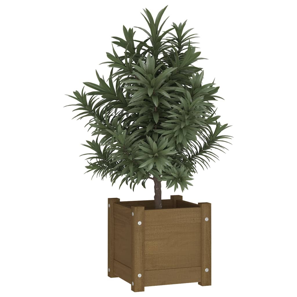 Plantekasse honningbrun 31x31x31 cm heltre furu