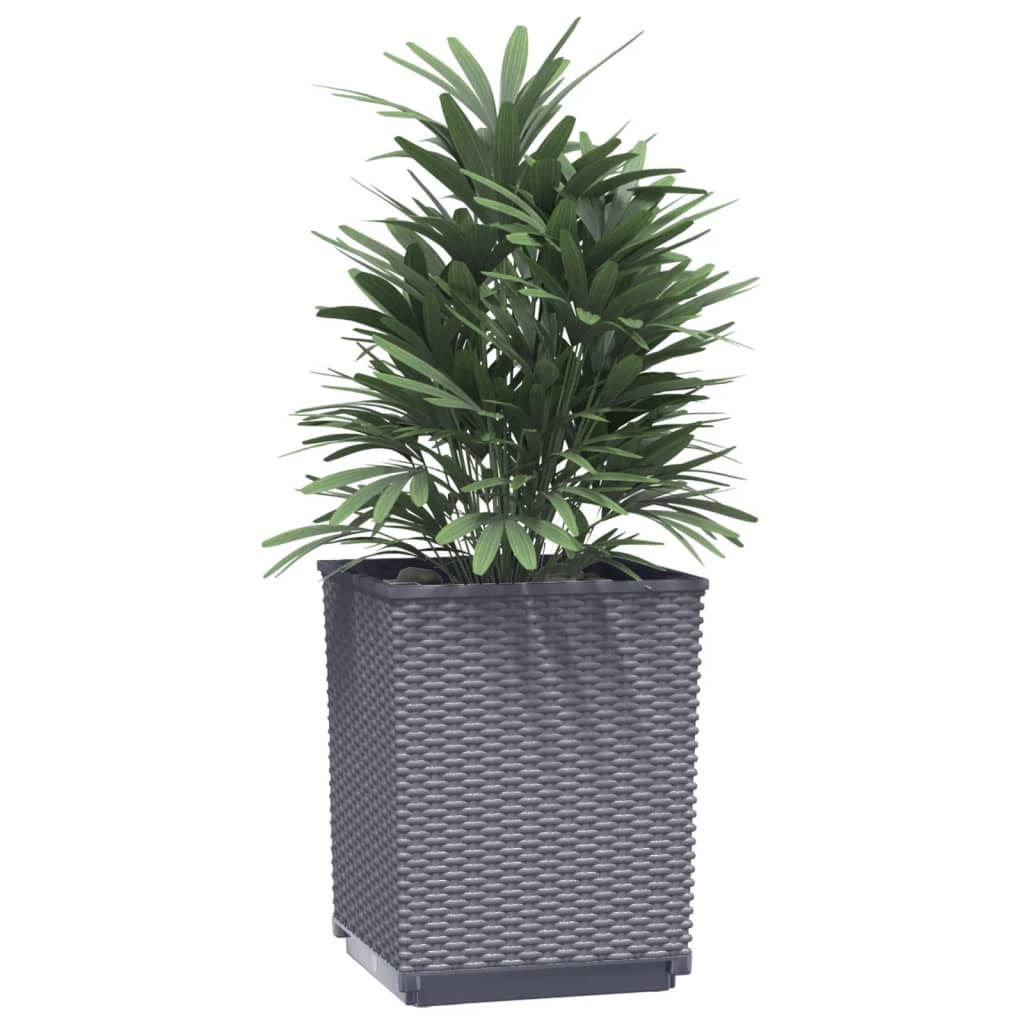 Plantekasser 2 stk blågrå 30x30x37 cm polypropylen