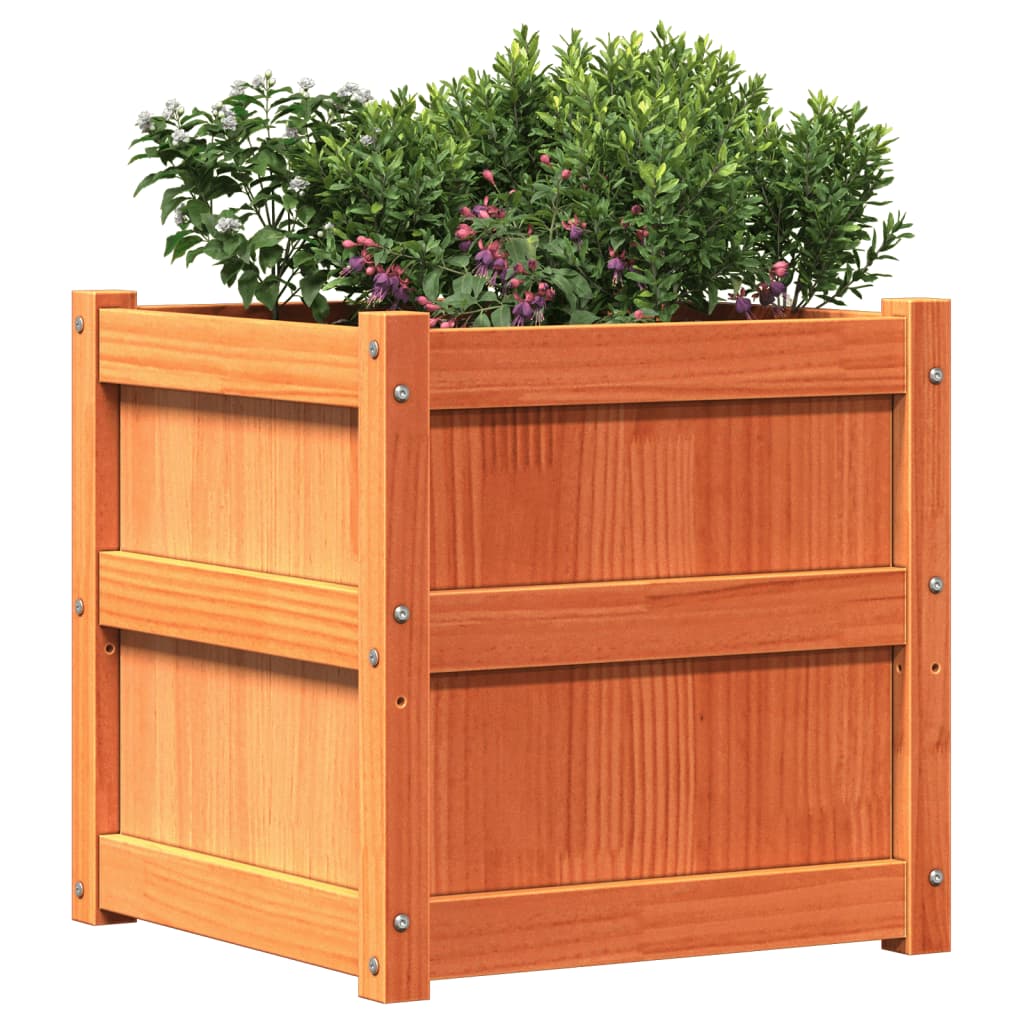 Hageplantekasse voksbrun 50x50x50 cm heltre furu