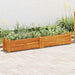 Høybed akasietre 150x30x25 cm