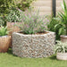 Gabion høybed sekskantet 100x90x50 cm