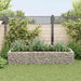Gabion høybed stål 270x90x50 cm