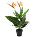 Kunstig paradisfuglblomst 66 cm vidaXL