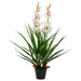 Kunstig cymbidium orkide med potte 100 cm grønn