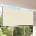 Uttrekkbar sidemarkise 160 x 300 cm kremhvit vidaXL