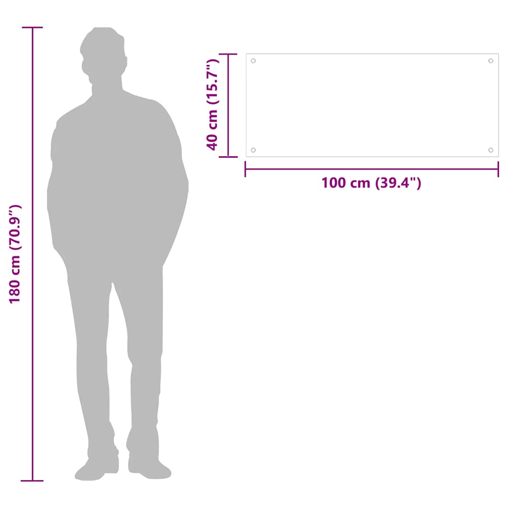 Kjøkkenplate gjennomsiktig 100x40 cm herdet glass vidaXL
