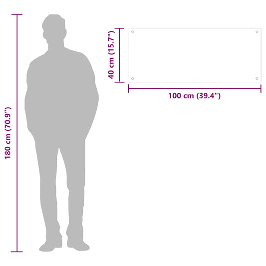 Kjøkkenplate gjennomsiktig 100x40 cm herdet glass vidaXL