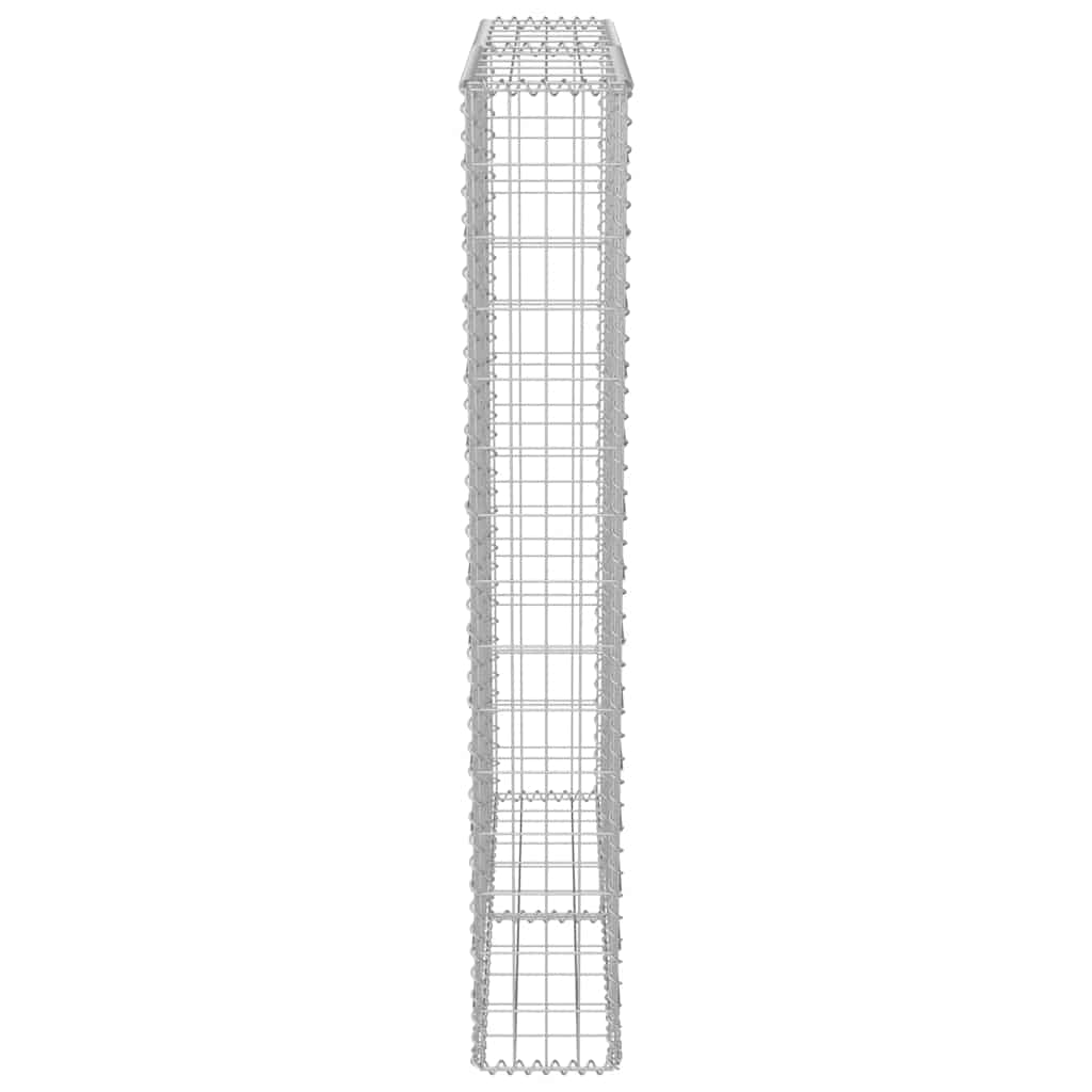 Gabion med topp- og bunndekke galvanisert stål 100x20x150 cm