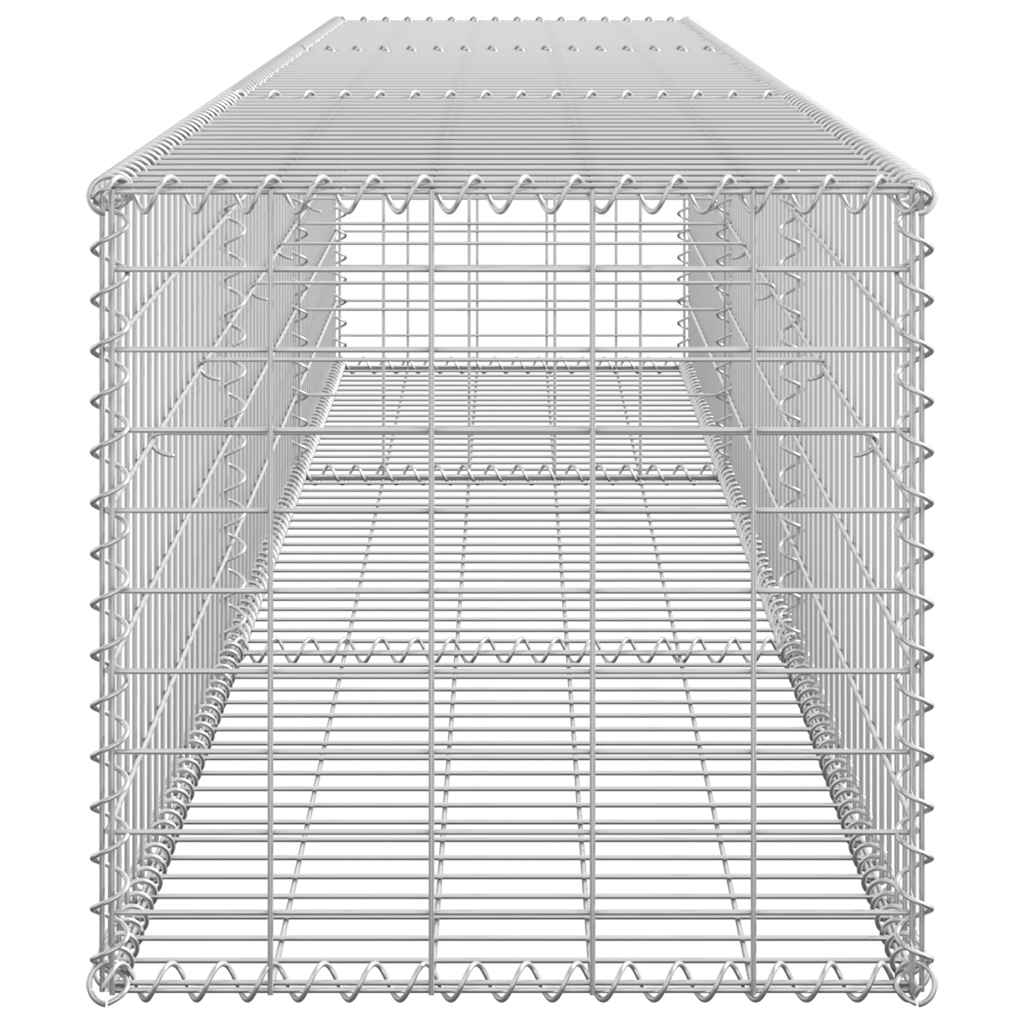 Gabion med topp- og bunnlokk galvanisert stål 300x50x50 cm