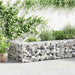 Gabion med topp- og bunnlokk galvanisert stål 300x50x50 cm