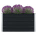 Forhøyet plantekasse 100x100x45 cm galvanisert stål antrasitt