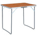 Sammenleggbart campingbord med metallramme 80x60 cm vidaXL