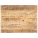 Bordplate heltre mango 25-27 mm 90x70 cm