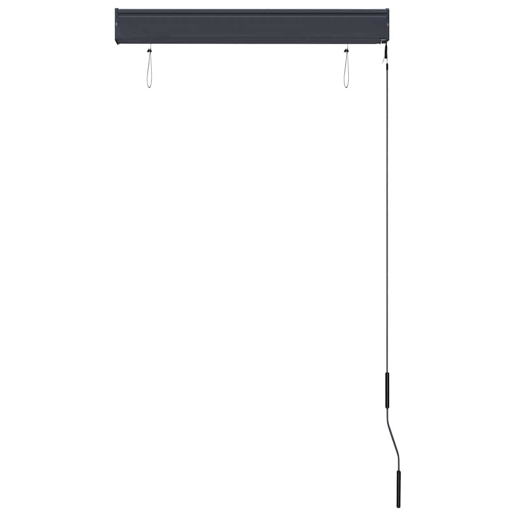 Utendørs rullegardin 80x250 cm antrasitt vidaXL