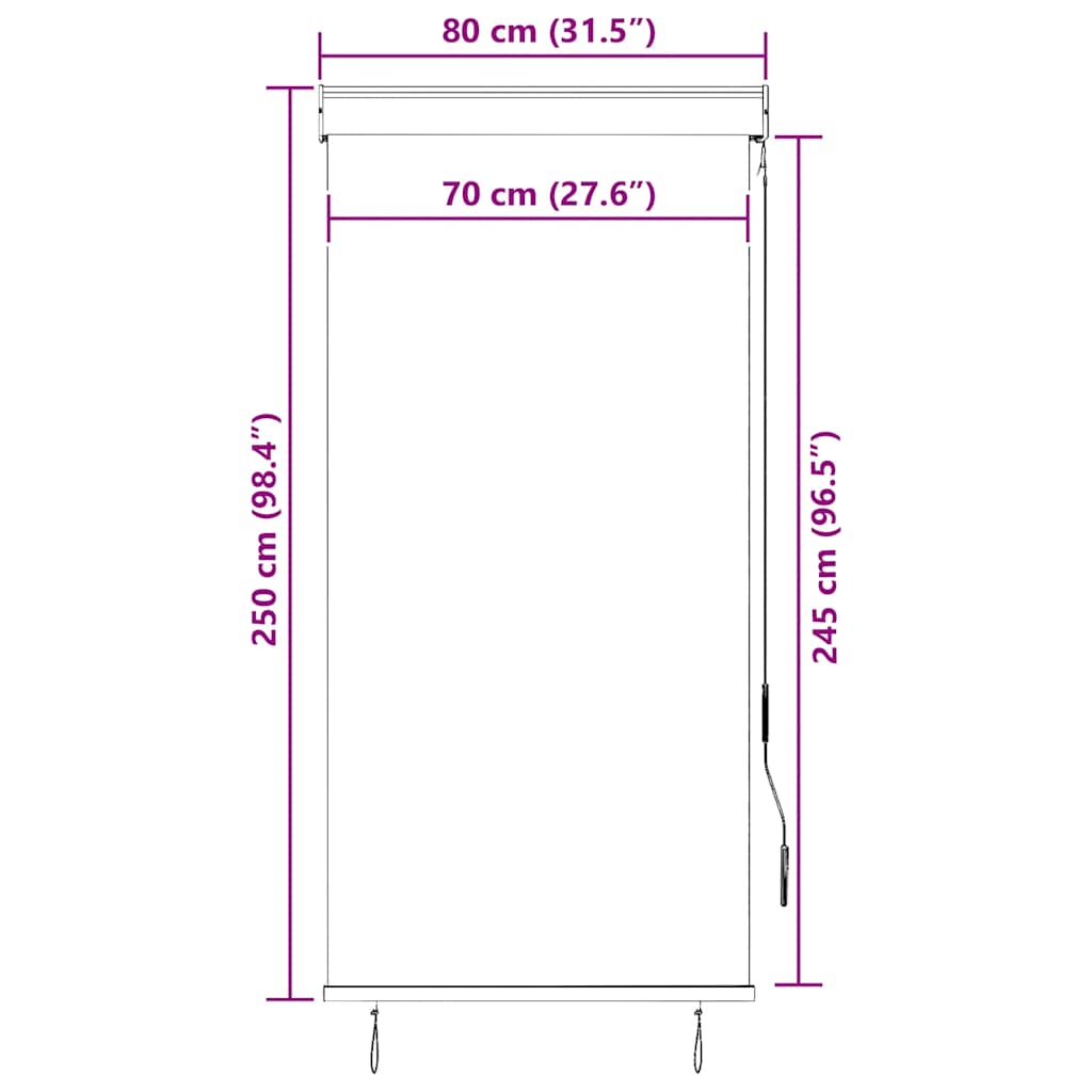 Utendørs rullegardin 80x250 cm antrasitt vidaXL