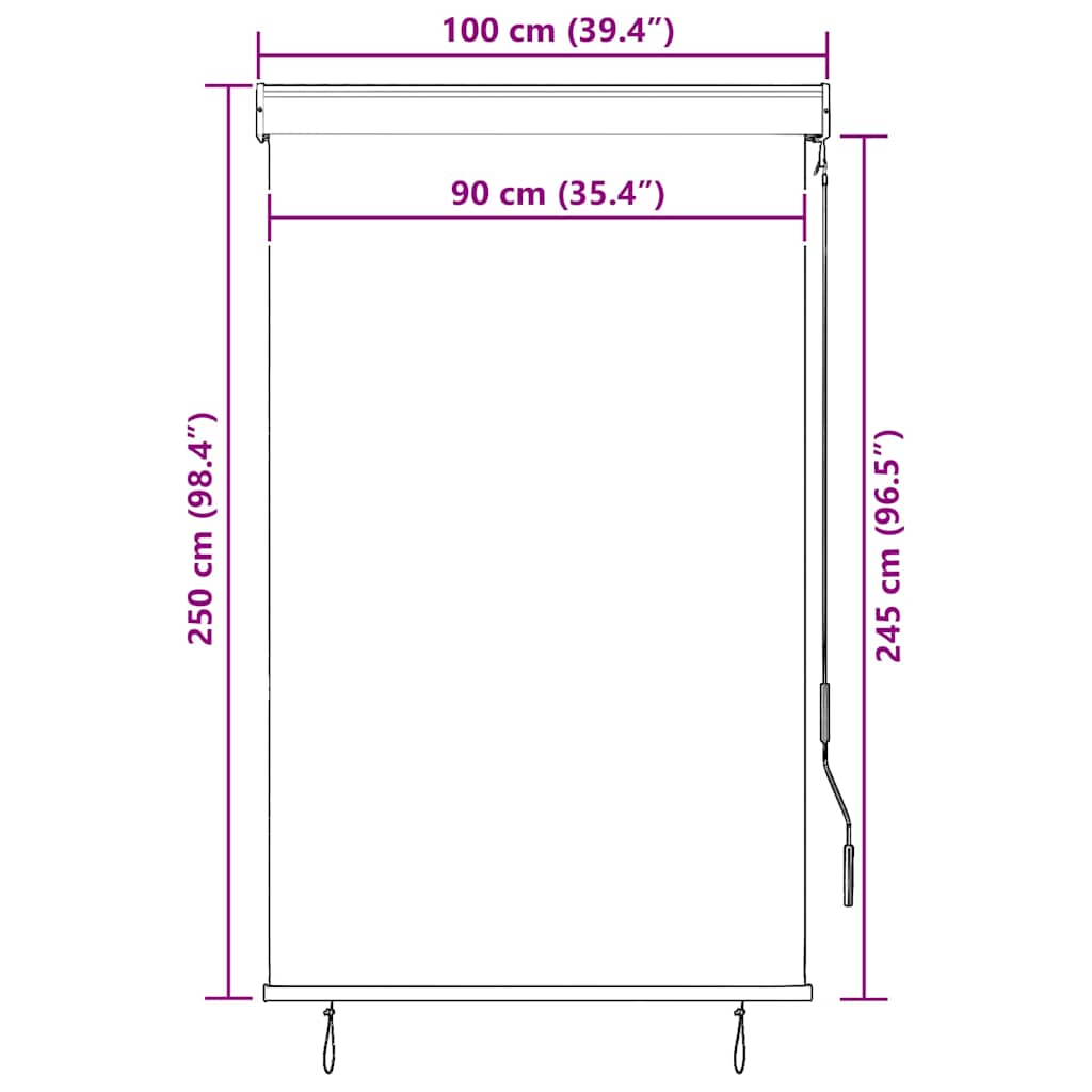Utendørs rullegardin 100x250 cm blå og hvit