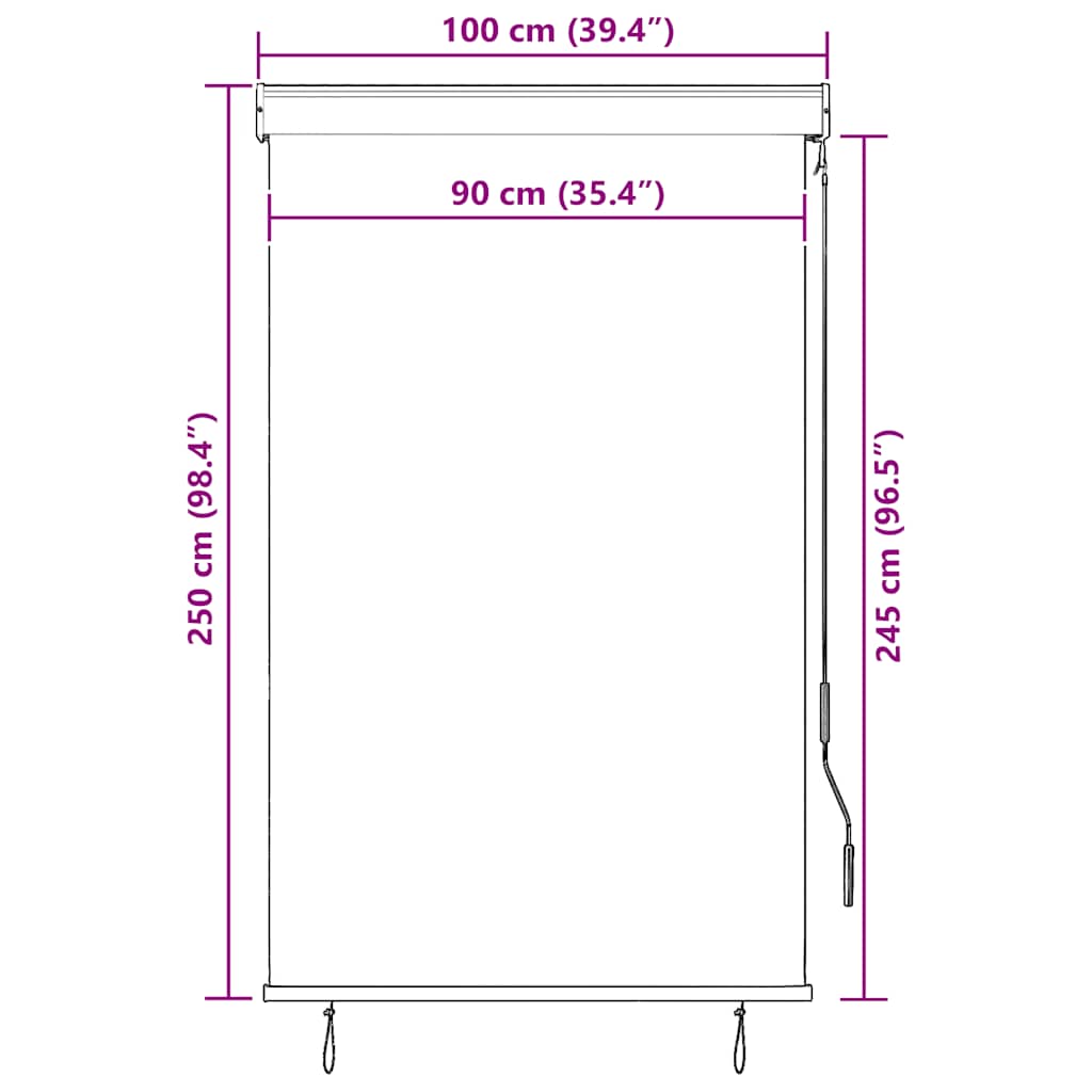 Utendørs rullegardin 100x250 cm antrasitt vidaXL