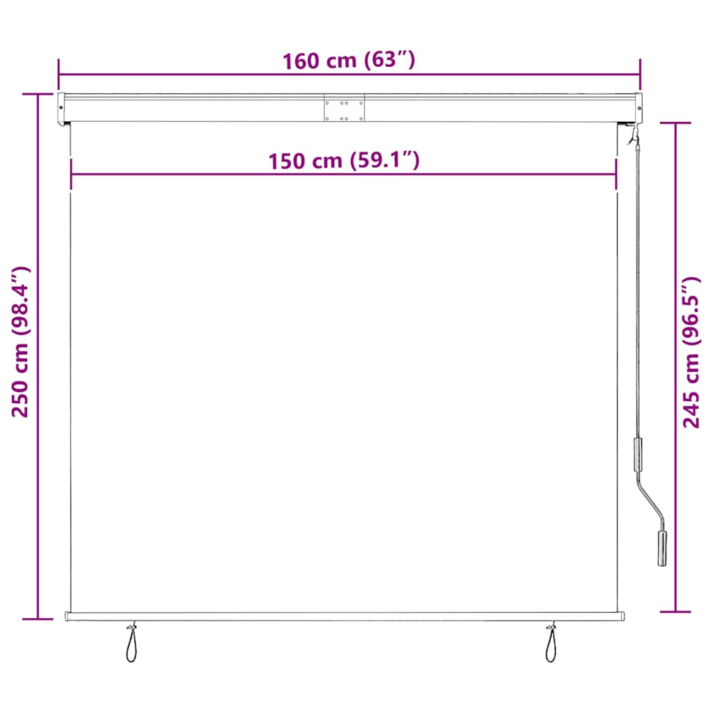 Utendørs rullegardin 160x250 cm antrasitt vidaXL