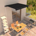 Manuell uttrekkbar markise 350x250 cm antrasitt vidaXL