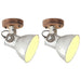 Industrielle vegg-/taklamper 2 stk sølv 20x25 cm E27