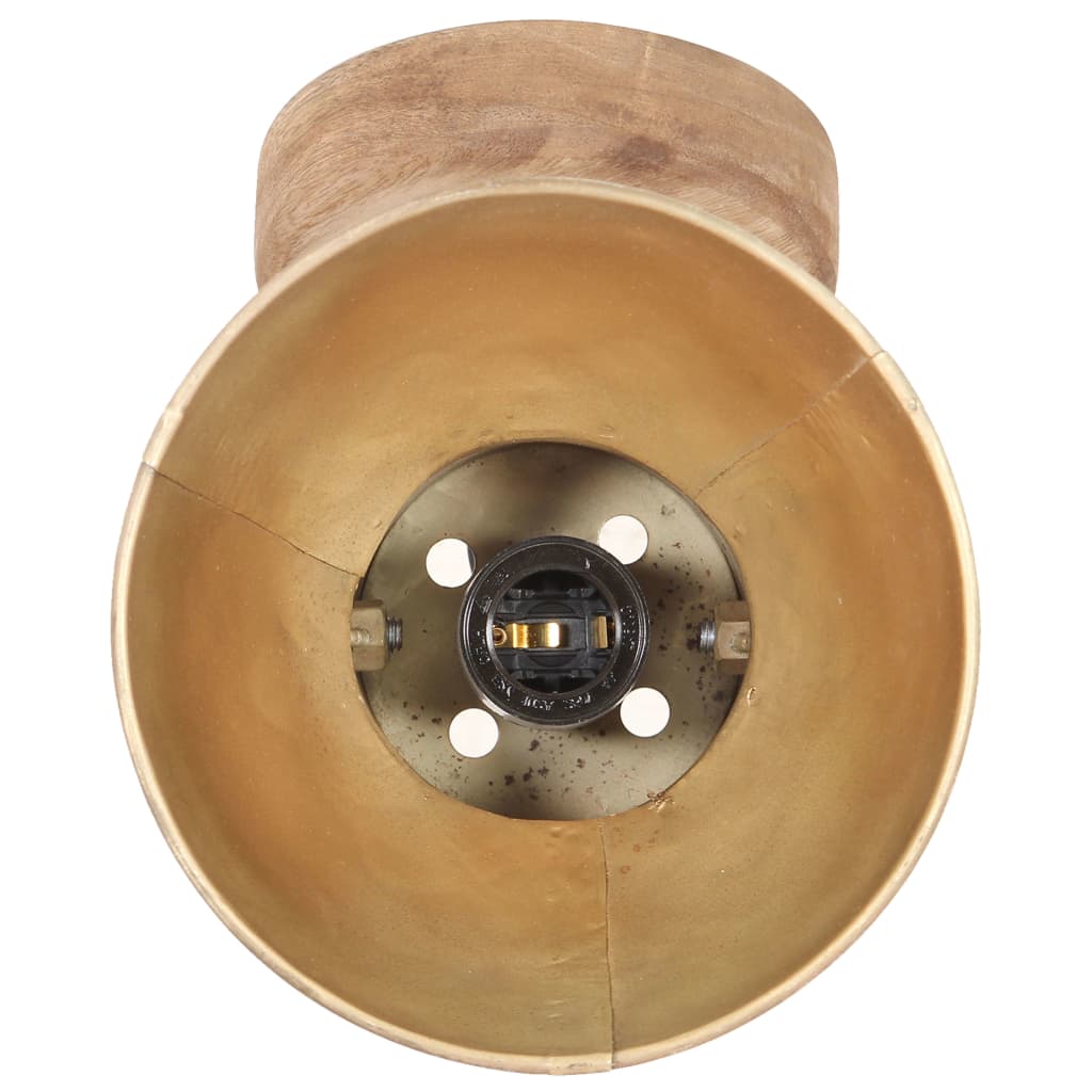 Industrielle vegg-/taklamper 2 stk messing 20x25 cm E27