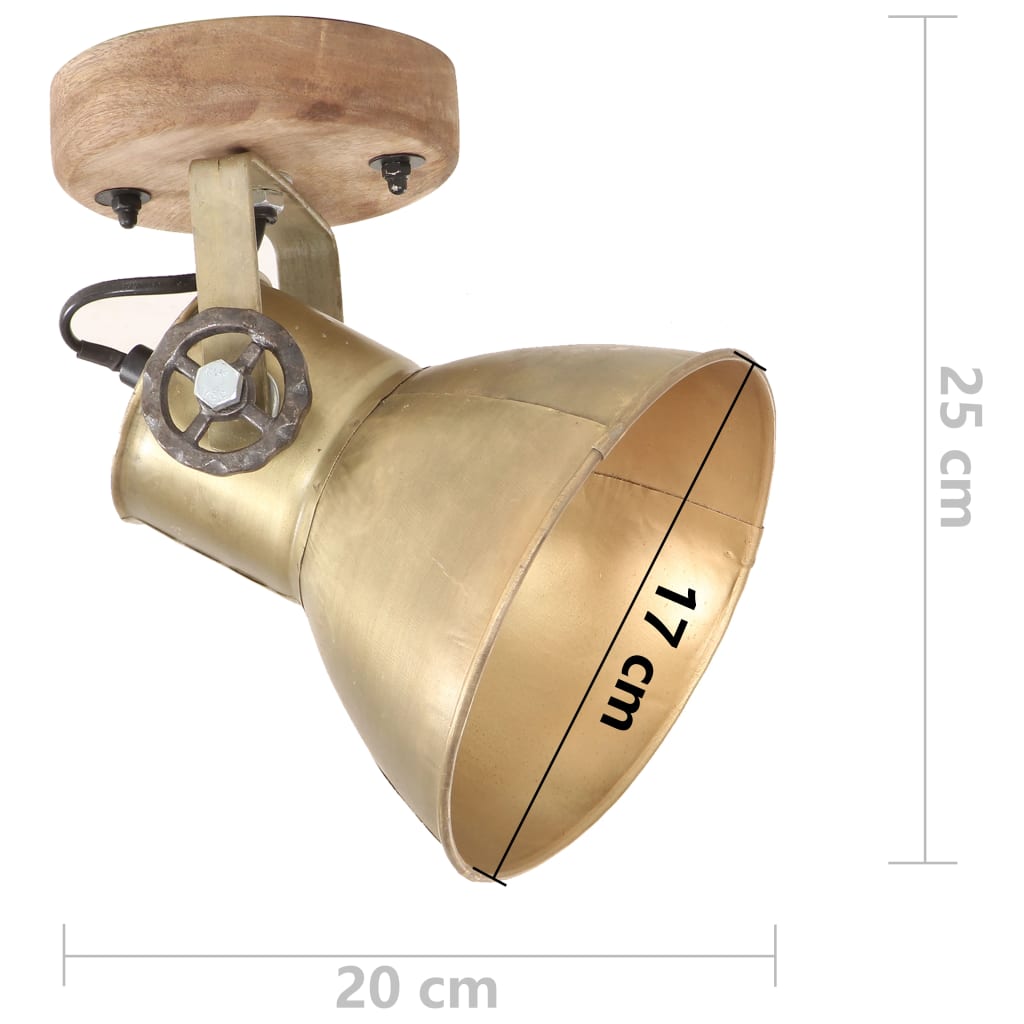 Industrielle vegg-/taklamper 2 stk messing 20x25 cm E27