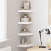 Flytende vegghyller 4 stk hvit 25x25x3,8 cm MDF