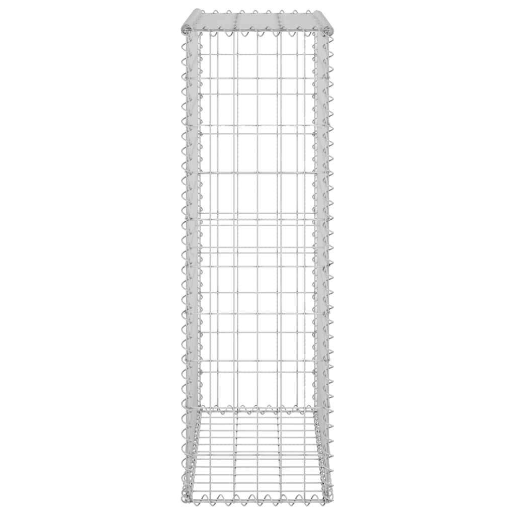Gabion med dekker galvanisert stål 60x30x100 cm