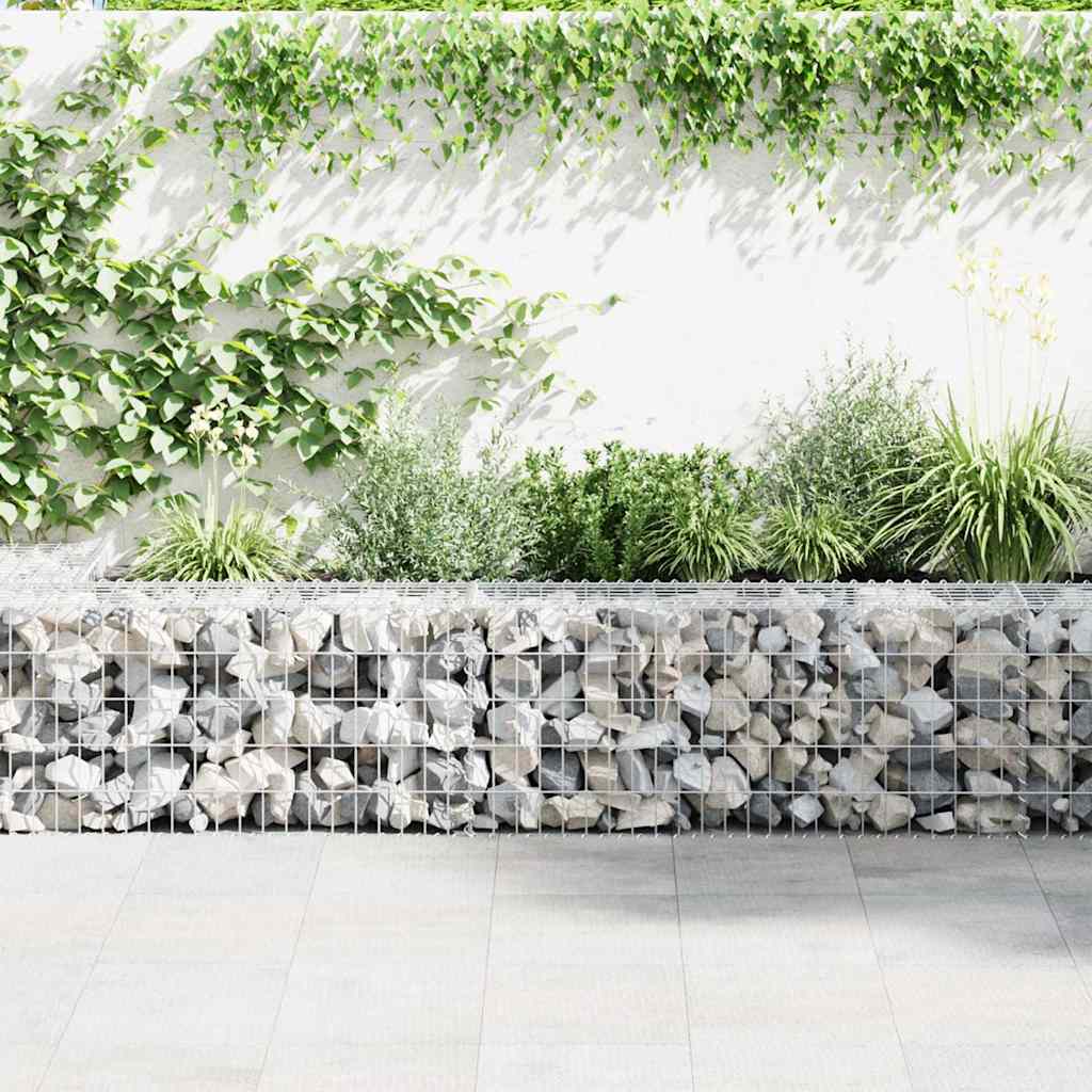 Gabion med topp- og bunndekke galvanisert stål 300x30x50 cm