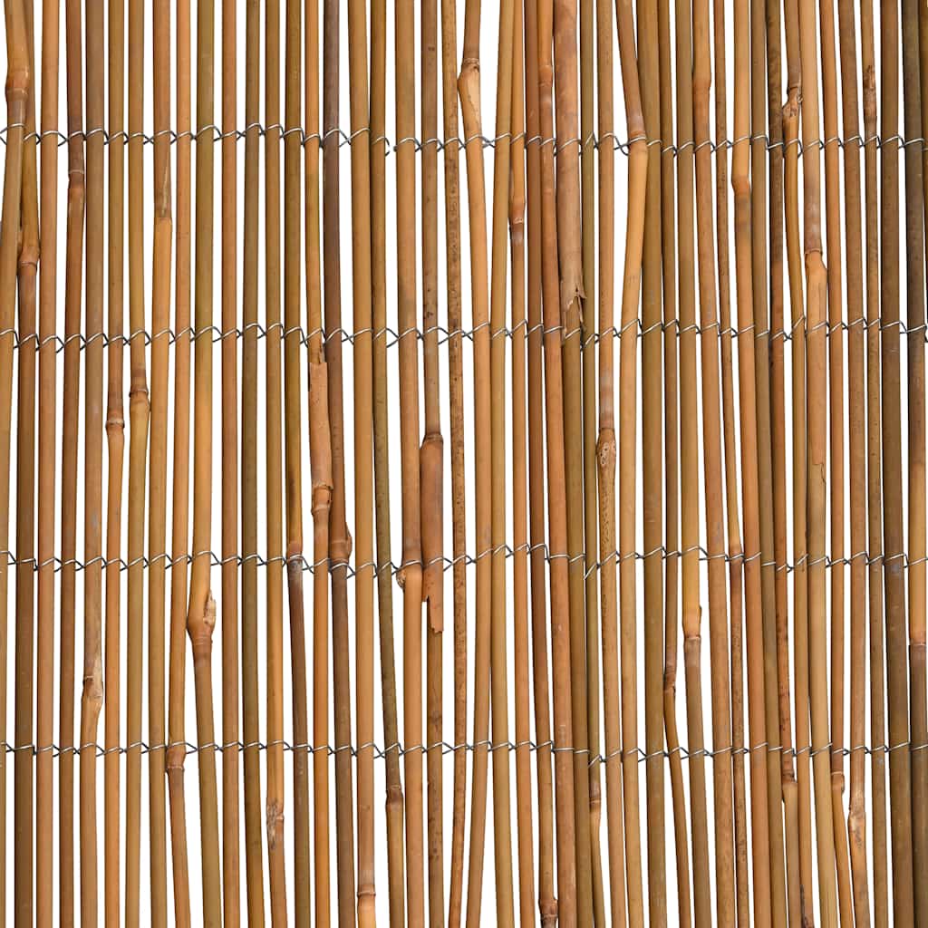 Bambusgjerde 500x100 cm
