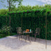 Hagepergola antikk brun 6x3x2,5 m jern vidaXL
