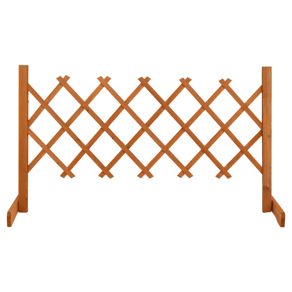 Espaliergjerde oransje 120x60 cm heltre gran