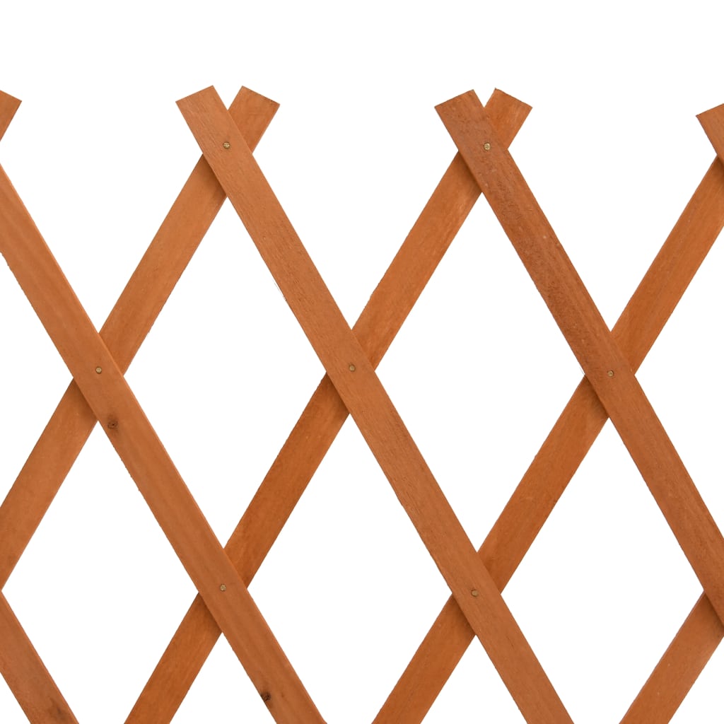 Espaliergjerde oransje 120x60 cm heltre gran