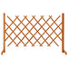 Espaliergjerde oransje 120x90 cm heltre gran