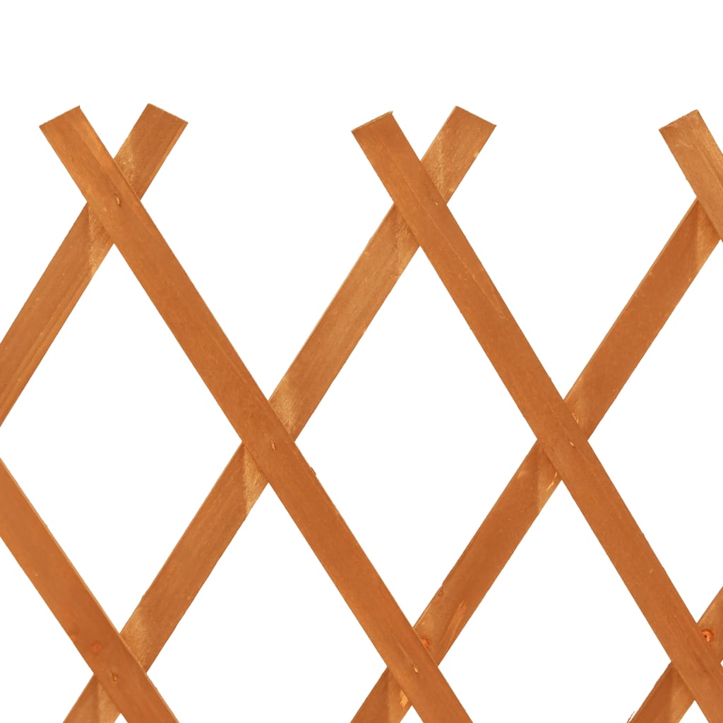 Espaliergjerde oransje 120x90 cm heltre gran