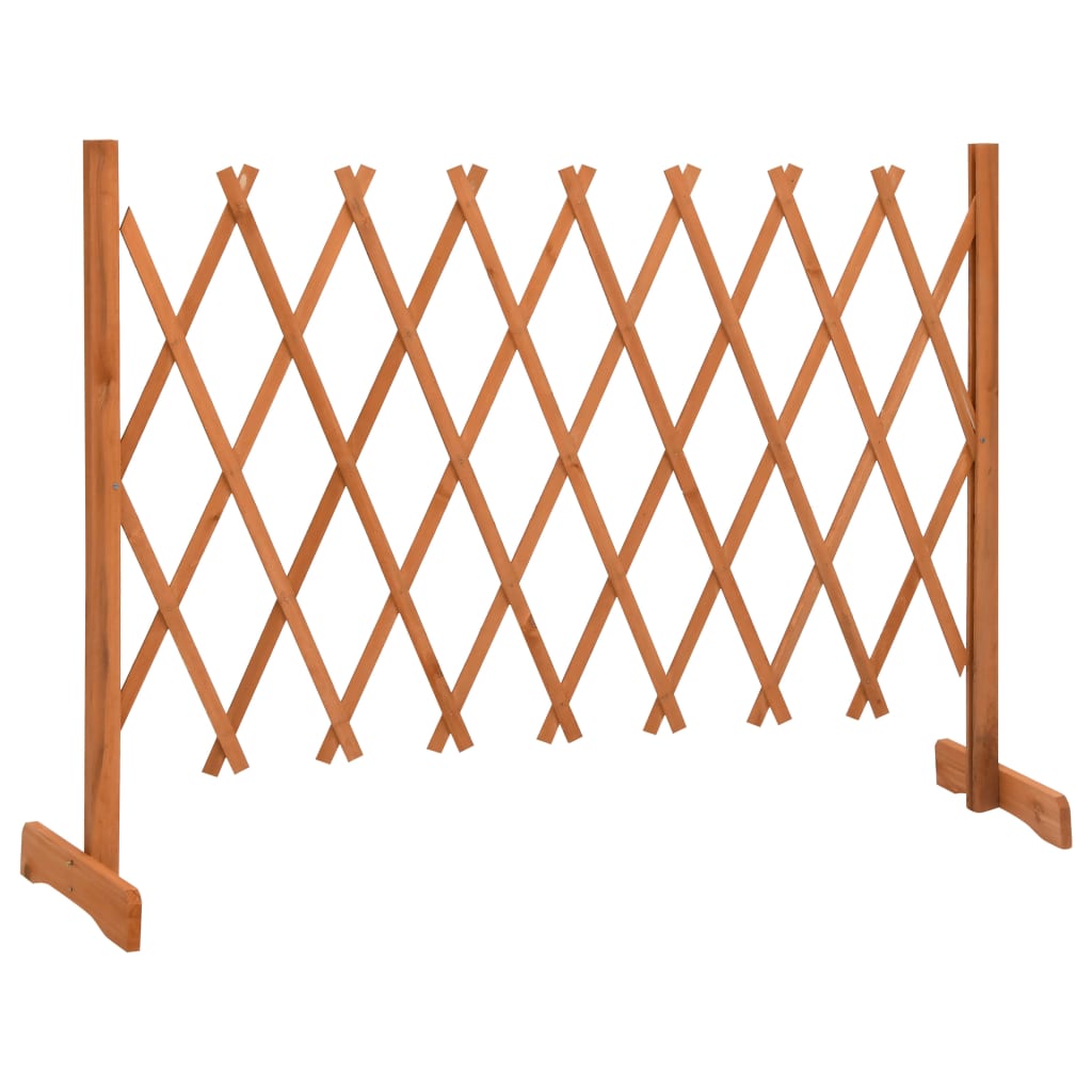 Espaliergjerde oransje 150x80 cm heltre gran vidaXL