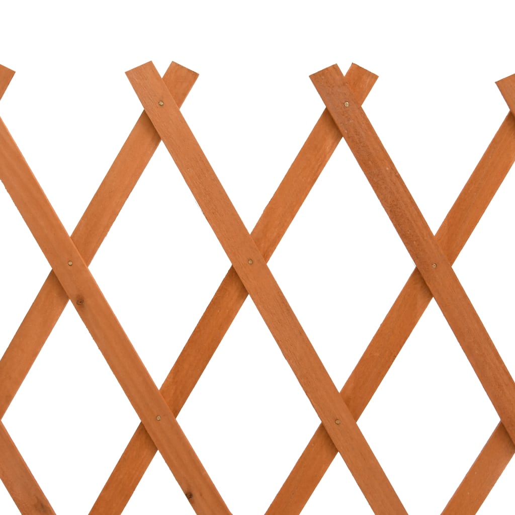 Espaliergjerde oransje 150x80 cm heltre gran vidaXL