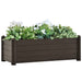 Høybed PP mocca 100x43x35 cm