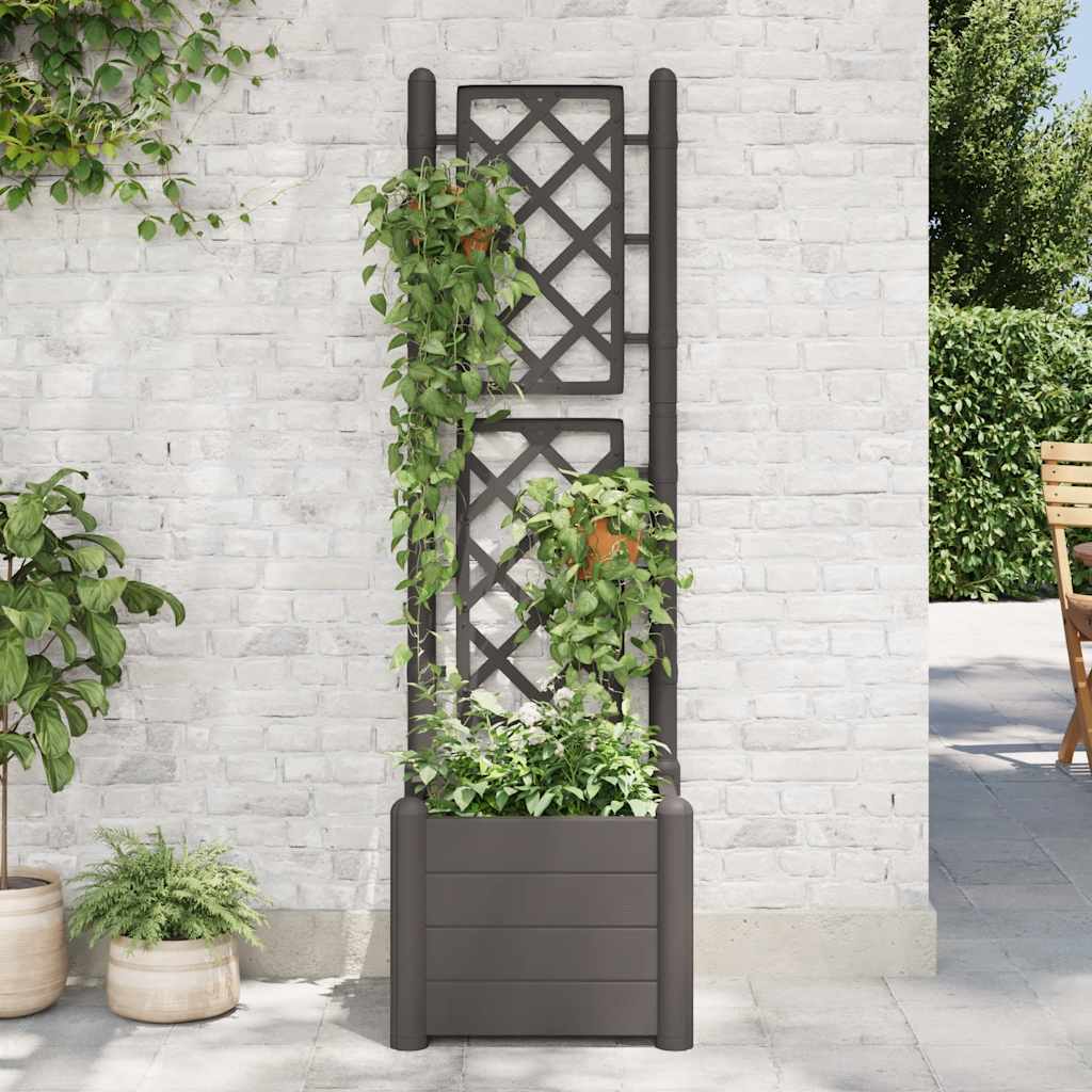Plantekasse med espalier 43x43x142 cm PP antrasitt