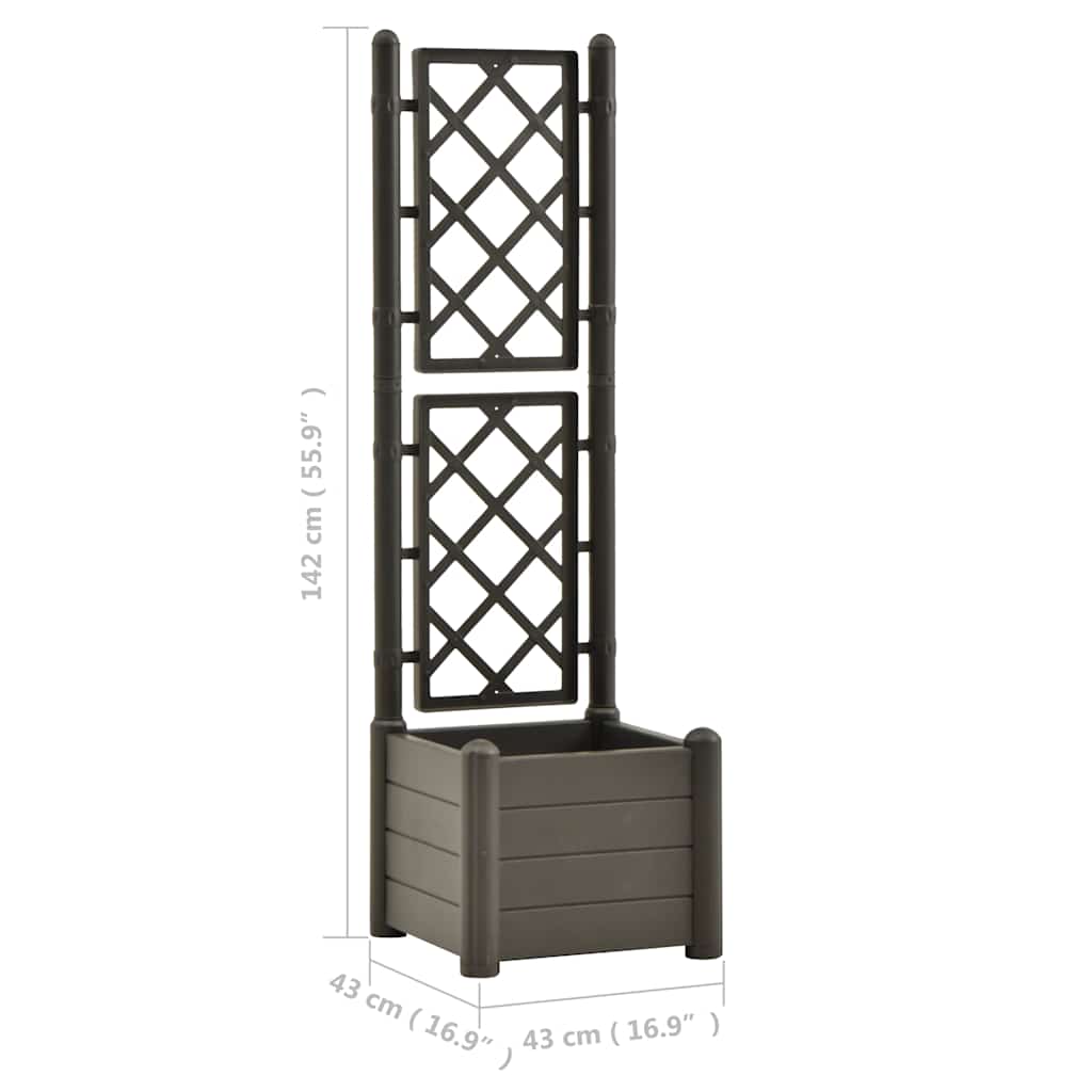 Plantekasse med espalier 43x43x142 cm PP antrasitt