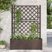Plantekasse med espalier 100x43x142 cm PP mocca