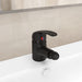 Blandebatteri for bidet svart 13x12 cm