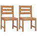 Hagestoler 2 stk heltre teak