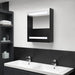 LED-speilskap til bad blank svart 50x14x60 cm