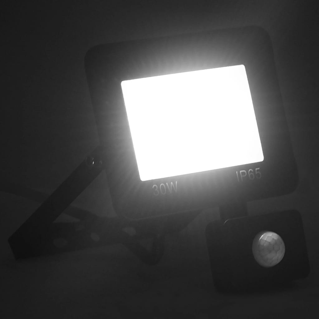 LED-flomlys med sensor 30 W kaldhvit