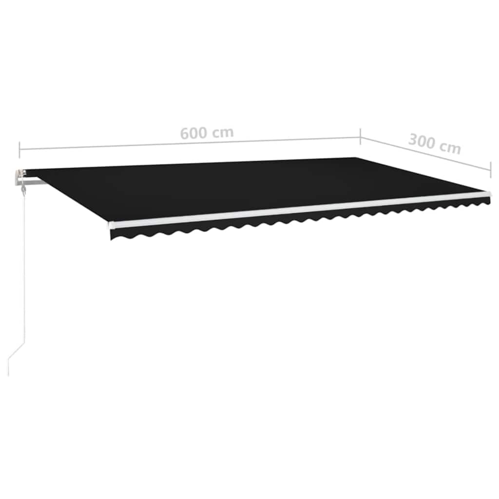 Automatisk markise med vindsensor og LED 600x300 cm antrasitt vidaXL